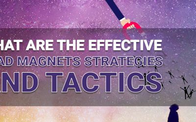 What are the effective Lead Magnets Strategies and Tactics?