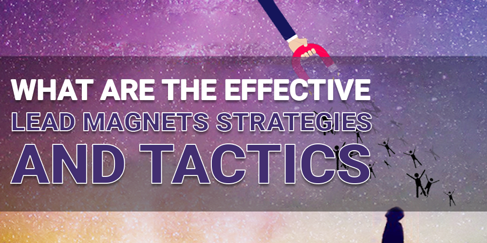 What are the effective Lead Magnets Strategies and Tactics
